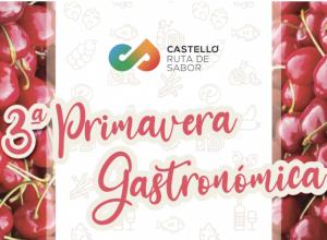 Castellón Gastronómico 