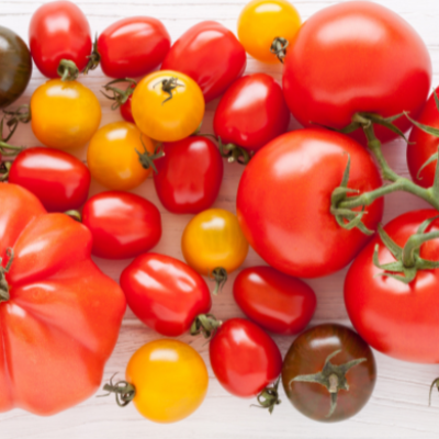 Variedad de tomates de diferentes tamaños, formas y colores sobre una superficie blanca, representando la riqueza de este ingrediente esencial de la cocina mediterránea y de las recetas veraniegas.