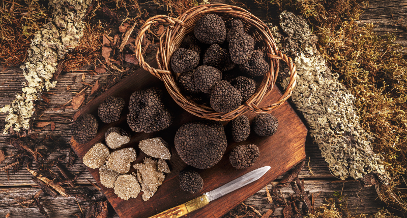 trufa-aburrimiento-alta-cocina