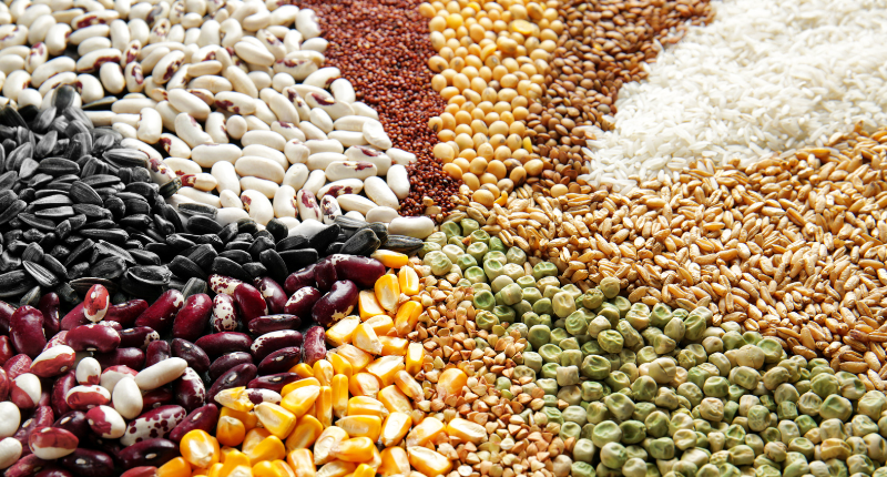 dia de las legumbres