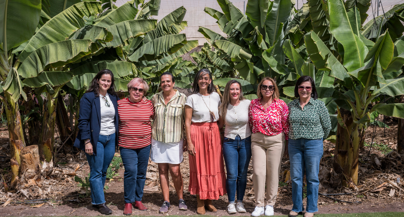 mujeres productoras de Tenerife