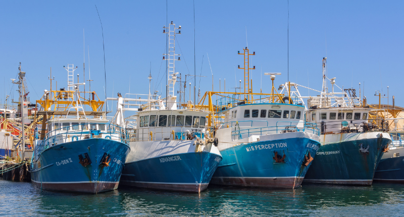 Crisis de pesca en Galicia