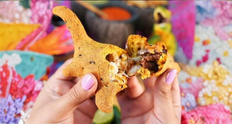 dinoquesadillas en Coahuila