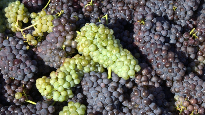 Perú logró récord en exportación de frutas