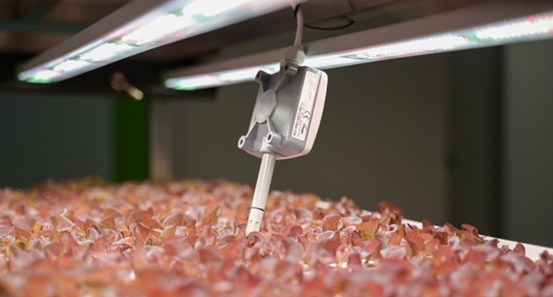 innovacion tecnologica en alimentación