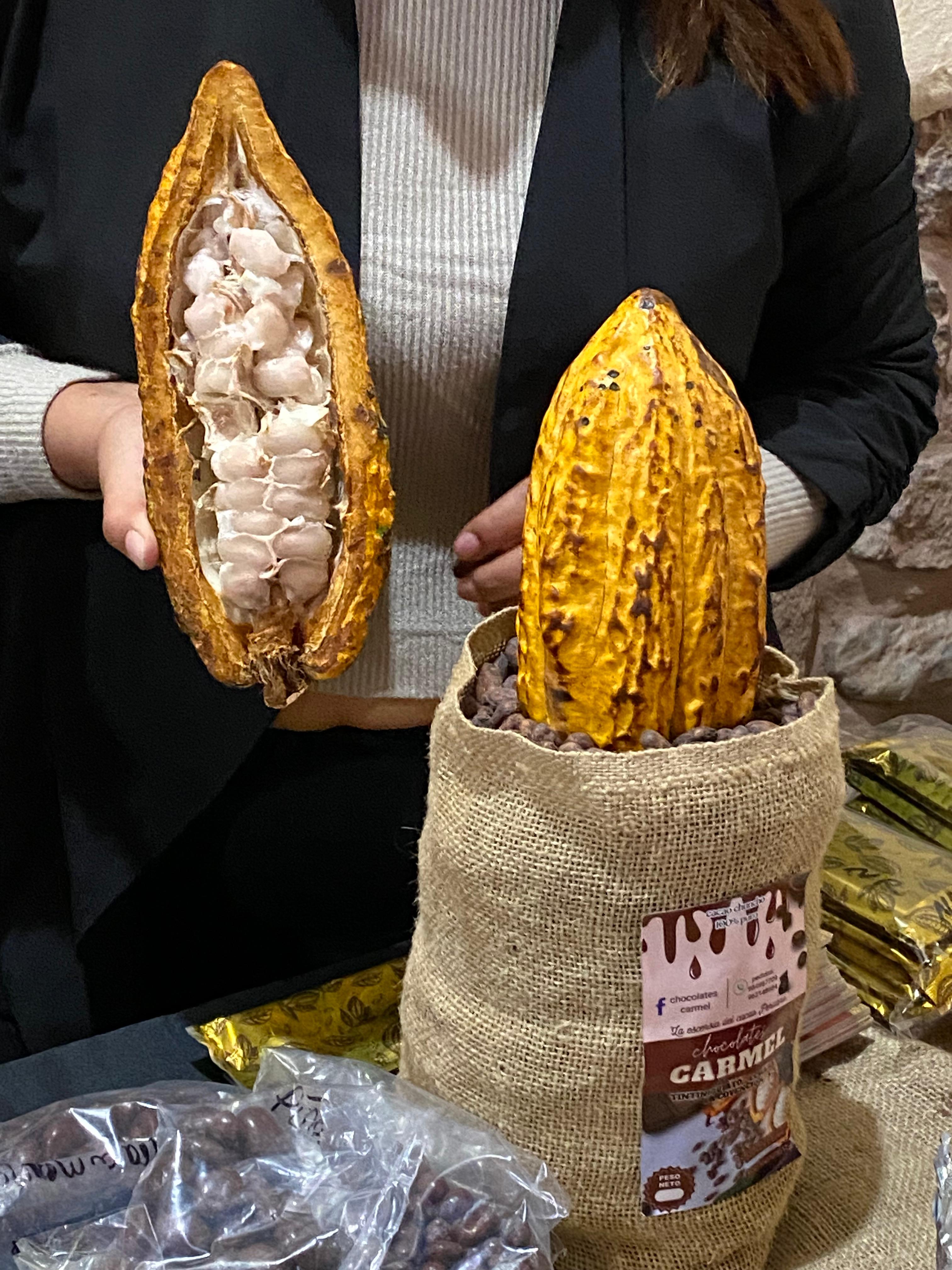 Vaina de Theobroma subincanum