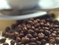 El café más caro del mundo proviene de los gatos.