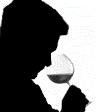 ¿Cómo aprender a catar vinos?