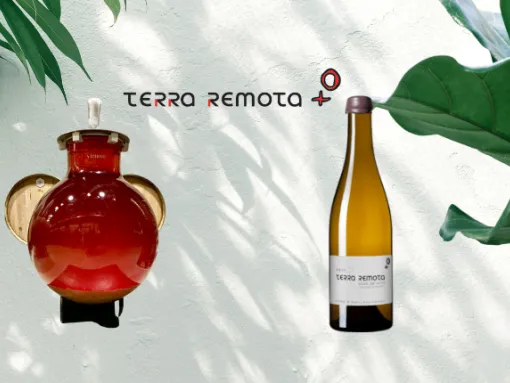 terra remota-vino-emporda