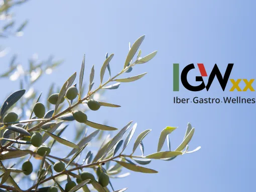 Iber Gastro Wellness XXI