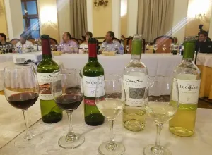 Vinos chilenos