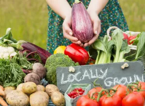 tendencias de alimenacion-2018