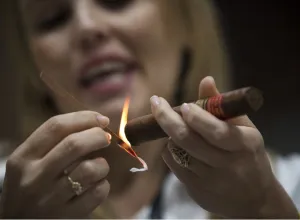 Festival del Habano