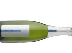 Bodegas Joan Sarda-vino-cava