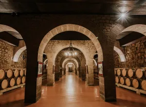 Feria Internacional de Enoturismo-Bodega-española