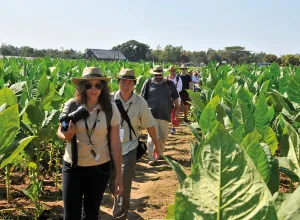 Agroturismo 