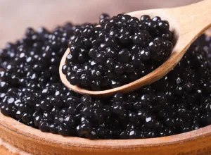 caviar 