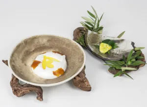 Premio Internacional de Cocina con AOVE-2020-finalista