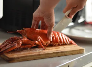 toxiinfección alimentaria-mariscos-consejos