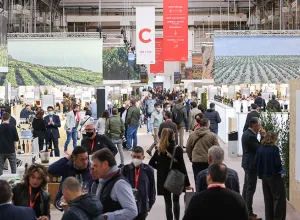 Barcelona Wine Week