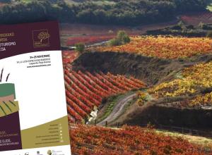 XII Foro de Enoturismo de Rioja Alavesa