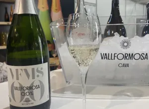 Productos de la bodega catalana Vallformosa 