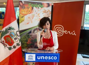 Silvia Alfaro Espinosa, representante permanente del Perú ante UNESCO