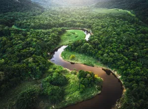 Amazonas