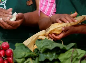 alimentación saludable