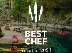 The Best Chef Awards