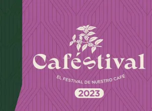 caféstival