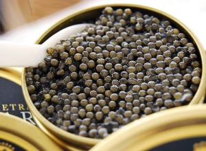 caviar royal oscietra