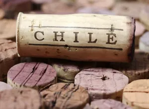 vinos chilenos