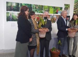 Ecuador dona al Real Jardín Botánico-CSIC la primera planta de cacao