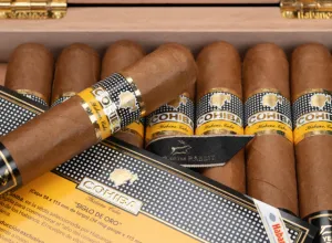 cohiba habanos