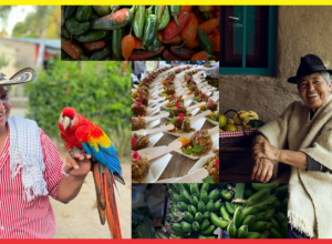 COLOMBIA, un país comprometido con la sostenibilidad gastronómica