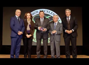 Premios Excelencias