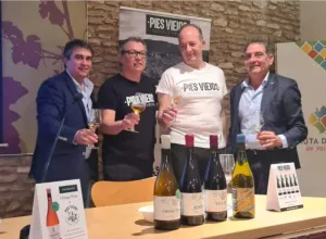 Jóvenes Amigos del Vino de Valdepeñas