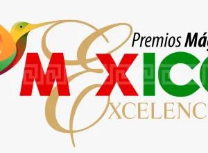 Premios Mágicos por Excelencias 2024 