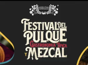 Festival del pulque