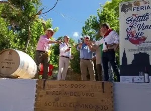 Feria de vino