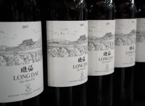 Descubrimos los vinos de la región de Yantai