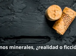 vinos minerales-realidad o ficción