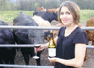 Canadá: Alimentan a las vacas con suplemento de vino tinto