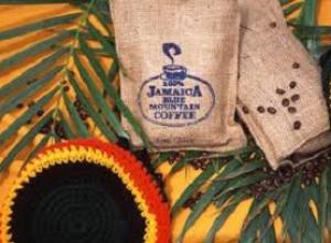 Café de Jamaica, un pedazo del paraíso 