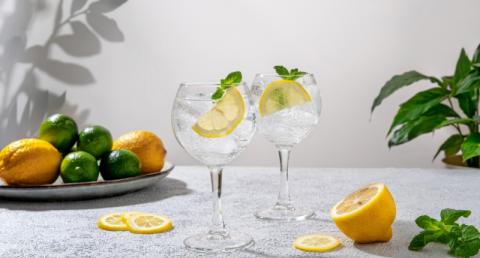 Gin Tonic 