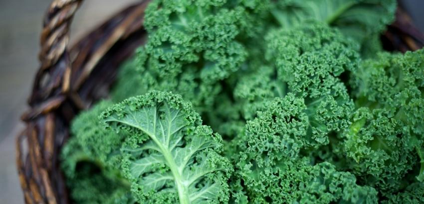 Kale-alimentos-beneficiosos-pa-el-organismo