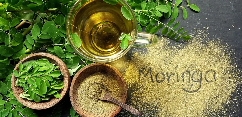 reto moringa-2017-barritas-energéticas-de-moringa