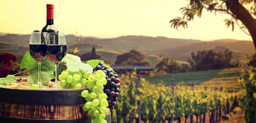 vinos italianos-Vinitaly