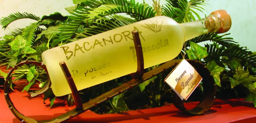 bacanora